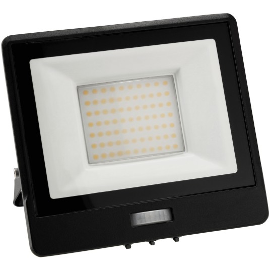 NAŚWIETLACZ MASTER PIR 50W NW