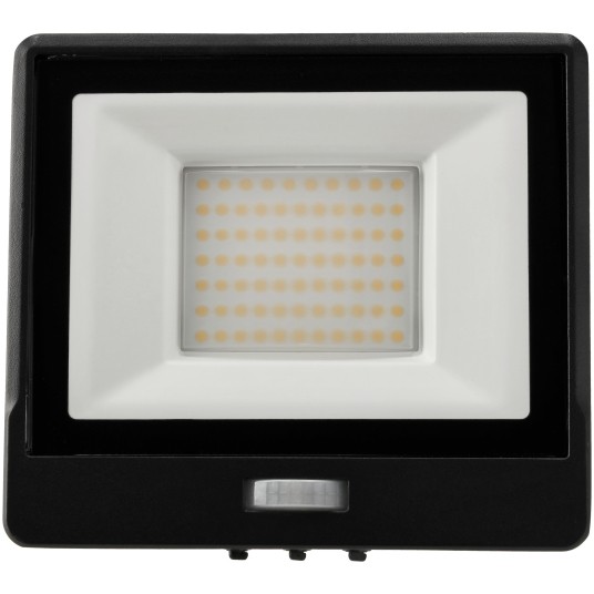 NAŚWIETLACZ MASTER PIR 50W NW