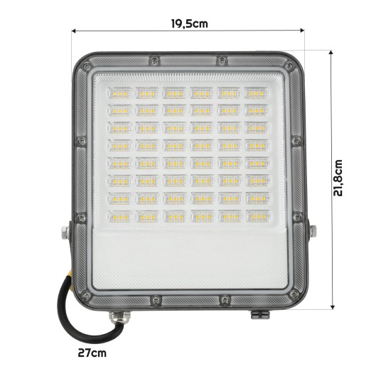 NAŚWIETLACZ ODYN 100W NW