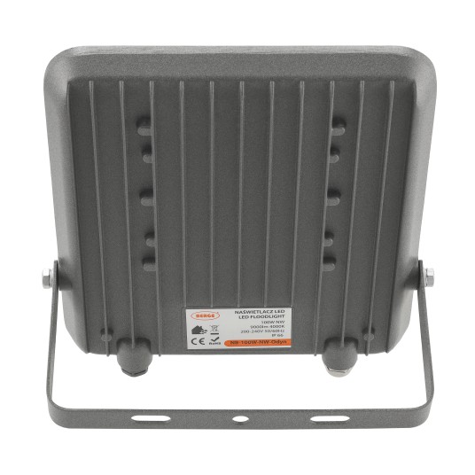 NAŚWIETLACZ ODYN 100W NW