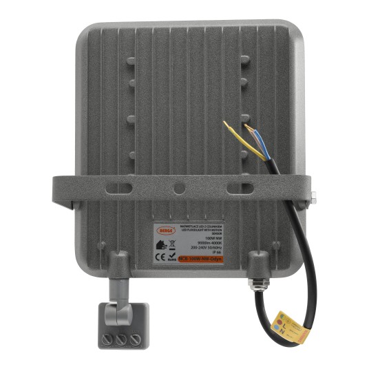 NAŚWIETLACZ ODYN PIR 100W NW