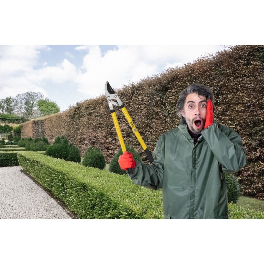 NOŻYCE DO GAŁĘZI-27"