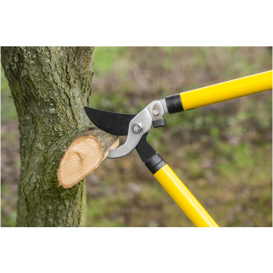 NOŻYCE DO GAŁĘZI Z REGULOWANĄ RĘKOJEŚCIĄ 25-38