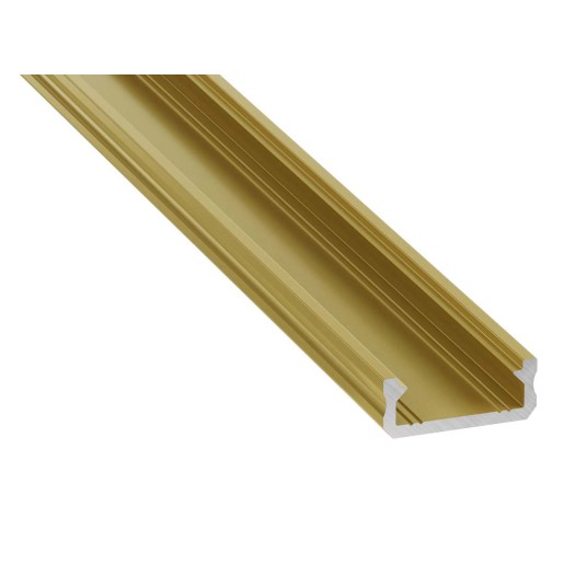 PROFIL D ZŁOTY MATOWY 1M
