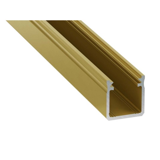 PROFIL Y ZŁOTY MATOWY 1M