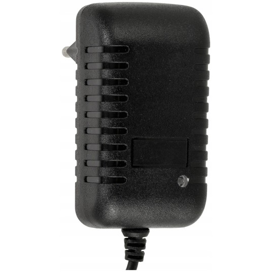 ZASILACZ WTYCZKOWY 24W