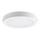 PHILIPS PANEL LED N/T OKRĄGŁY 19W 2000LM NW 4000K -zdjęcie numer 9