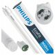 PHILIPS TUBA LED ŚWIETLÓWKA 60CM 8W CW T8 800LM ECOFIT