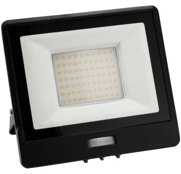 NAŚWIETLACZ MASTER PIR 50W NW