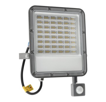 NAŚWIETLACZ ODYN PIR 100W NW