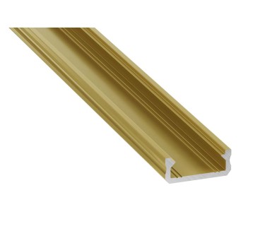 PROFIL D ZŁOTY MATOWY 1M