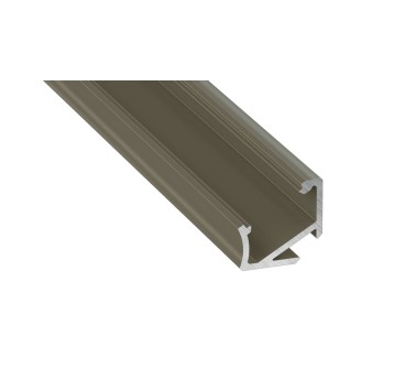 PROFIL H INOX ANODOWANY 1M