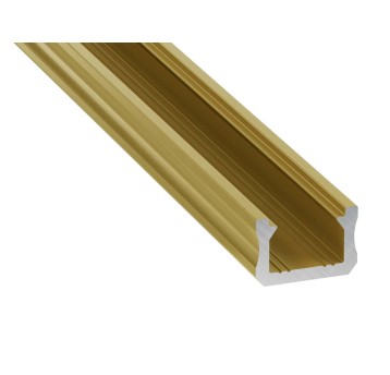 PROFIL X ZŁOTY MATOWY 1M